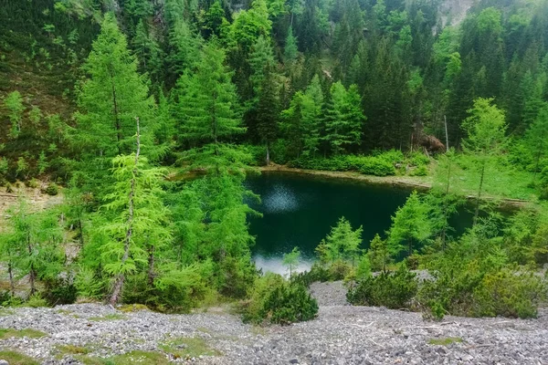 Дивовижне Гірське Озеро Вершині Гори Зеленими Деревами Природі — стокове фото