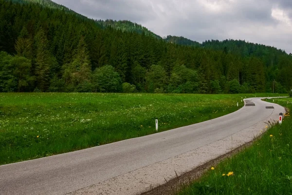 Kurvige Straße Grüner Naturlandschaft Österreich — Stockfoto