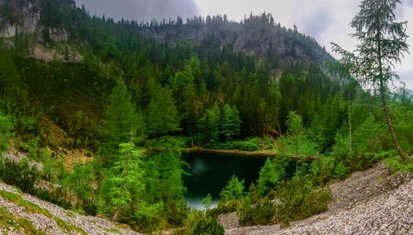 緑の木々のパノラマビューが広がる山の頂上にある素晴らしい山の湖 — ストック写真