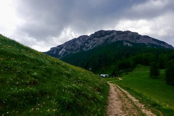 夏にハイキングをしながら緑の山の風景の中に石で曲線を描く道 — ストック写真