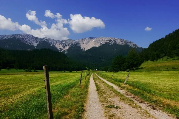 夏の晴れた日にハイキングをしながら素晴らしい高い山への長い未舗装の道 — ストック写真