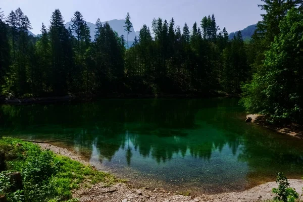 Riflessione Dagli Alberi Meraviglioso Lago Montagna Verde Nella Natura — Foto Stock