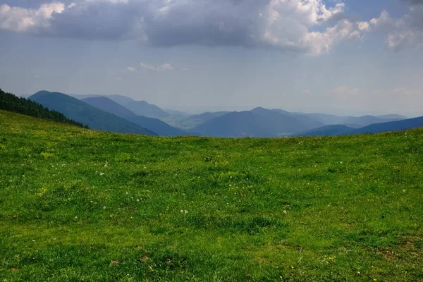 Чудовий Свіжий Зелений Луг Гірський Пейзаж Задньому Плані Під Час — стокове фото