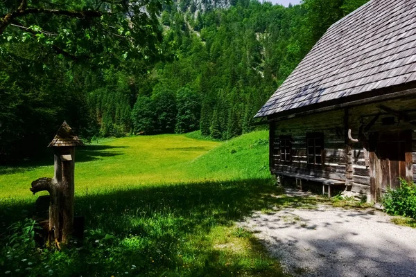 オーストリアから山の緑の牧草地にある高山の小屋の近くにある木の噴水 — ストック写真
