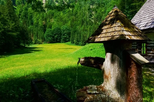 Fontaine Bois Près Une Cabane Alpine Sur Paysage Naturel Verdoyant — Photo