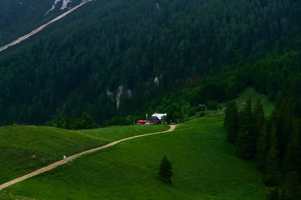 Caminho Para Uma Cabana Alpina Uma Paisagem Montanha Verde Enquanto — Fotografia de Stock