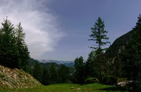 Lugar Agradável Com Árvores Verdes Prado Montanhas Enquanto Caminhadas Férias — Fotografia de Stock