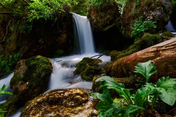 Plants Moss Little Waterfall Brook While Hiking — Stock Photo, Image