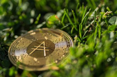 Çimlerin üzerinde Cardano parasından tek bir altın ada sikkesi yatıyor.