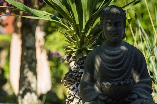 Figura Budda All Ombra Giardino Con Palme Erbe Come Vacanza — Foto Stock