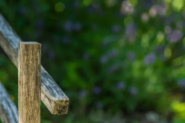 Holzzaun Aus Kräutergarten Der Natur — Stockfoto