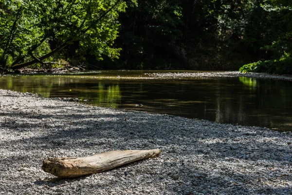 Weißer Baumstamm Kies Eines Baches Beim Wandern Sommer — Stockfoto