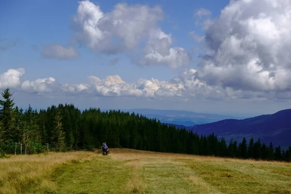 Randonneurs Sur Une Colline Avec Herbe Lisière Forêt Été Vacances — Photo