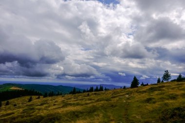 Avustralya 'da bir dağda yürüyüş yaparken vadiye harika bir manzara.