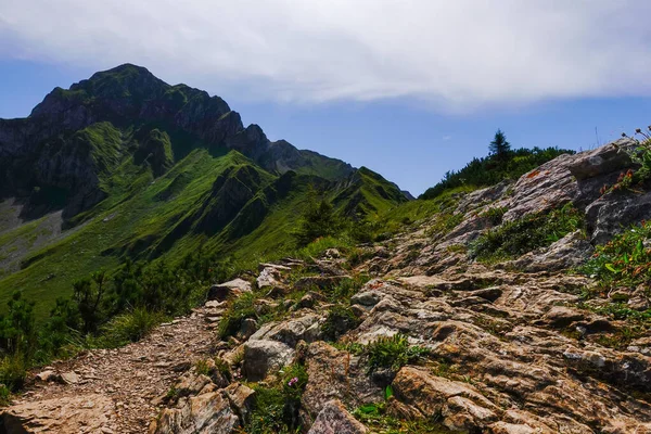 Wunderschöner Wanderweg Mit Felsen Und Steinen Einem Grünen Felsberg Sommer — Stockfoto