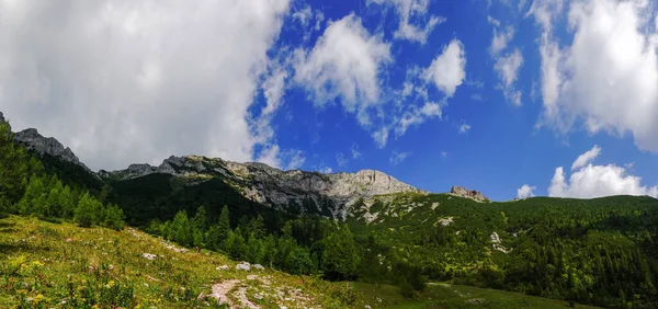 Céu Maravilhoso Com Nuvens Sobre Uma Paisagem Natureza Verde Vista — Fotografia de Stock