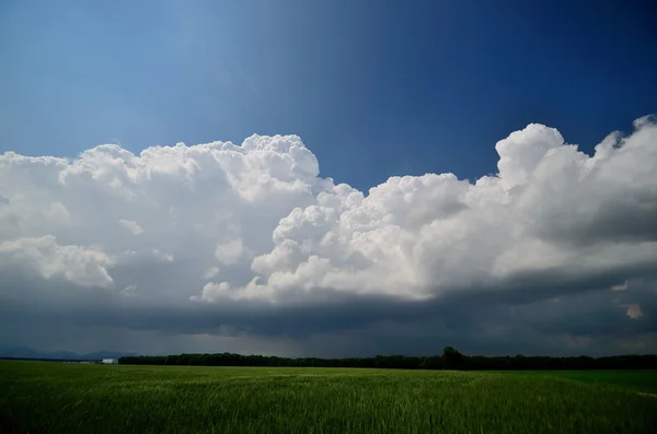 Gran nube blanca en el campo —  Fotos de Stock