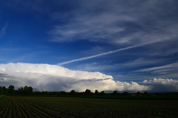 Зелене поле і хмари — стокове фото