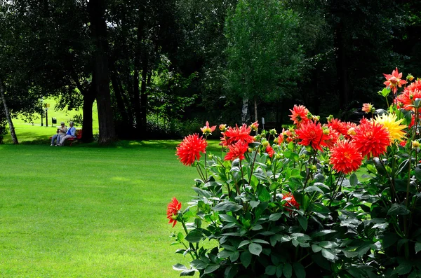 Kurpark with people and flowers — Stock Photo, Image