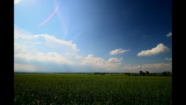 Green field with clouds in timelapse — Stock Video