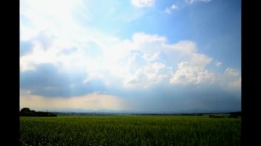 Timelapse bulutlarda ile yeşil alan