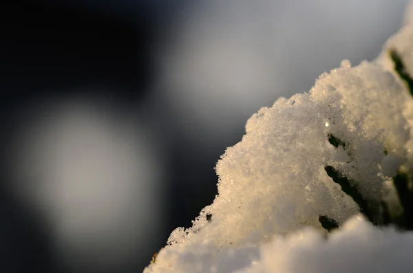 Neve al sole — Foto Stock