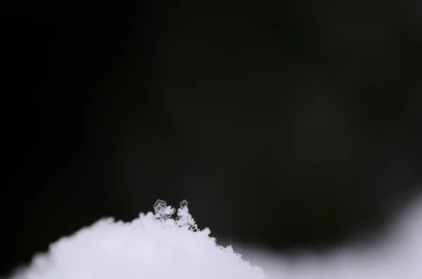 Tek küçük kar kristal — Stok fotoğraf
