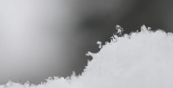 Ενιαίο κρύσταλλο χιόνι με γκρι Πανόραμα — Φωτογραφία Αρχείου