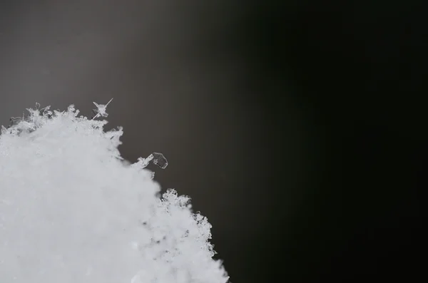 Kırılgan kar kristalleri — Stok fotoğraf