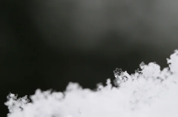 Schneekristall wie Blume — Stockfoto