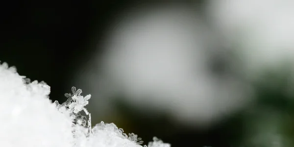 Красивая панорама из снега — стоковое фото