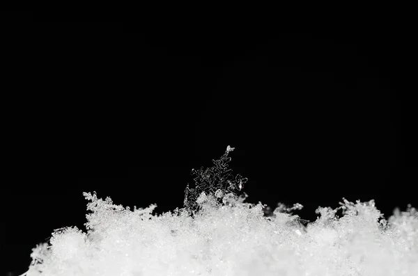 Grand cristal de neige caché — Photo