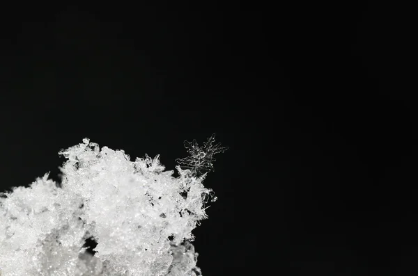 Einzelner Schneekristall im Neuschnee — Stockfoto