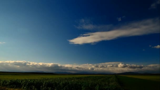 Campo Timelapse com céu e nuvens no horizonte — Vídeo de Stock