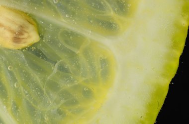 limon makro görünümü