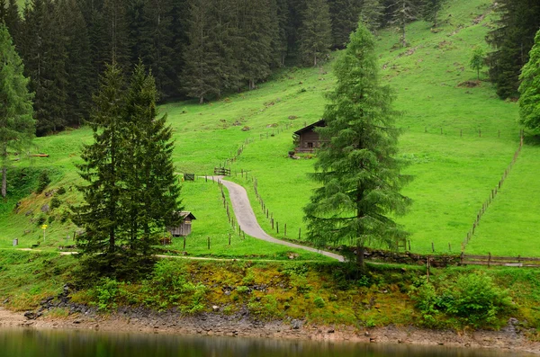 Groene natuurlijke landschap — Stockfoto