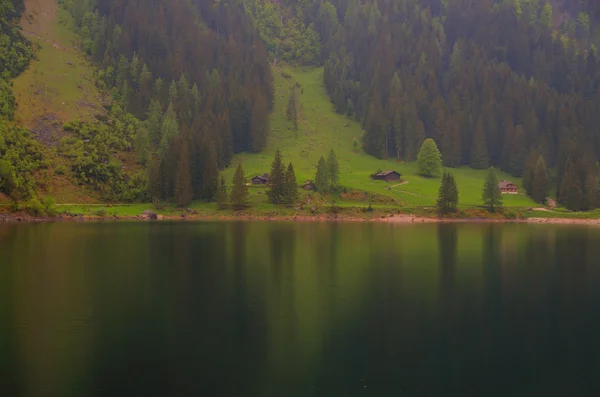 Nevoeiro lago — Fotografia de Stock