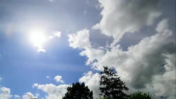 Timelapse de nombreux nuages blancs au ciel — Video