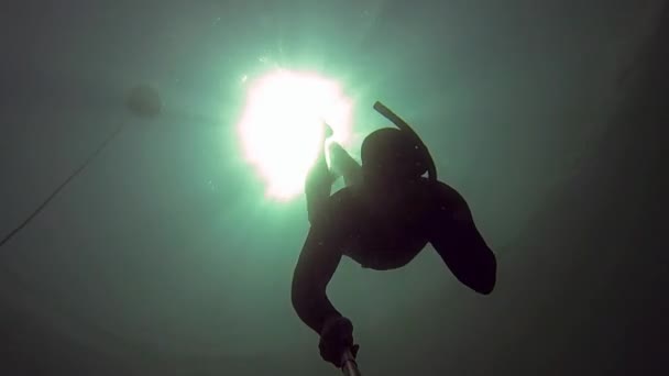 Freediver mergulha através de dois tubos — Vídeo de Stock