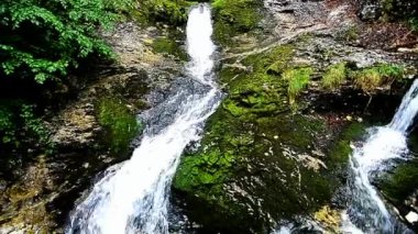 dağda küçük şelale