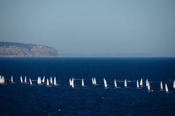 Muchos veleros en el mar — Foto de Stock