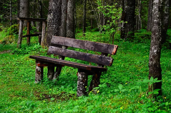 Wooden bench in the wood — Stock Photo, Image