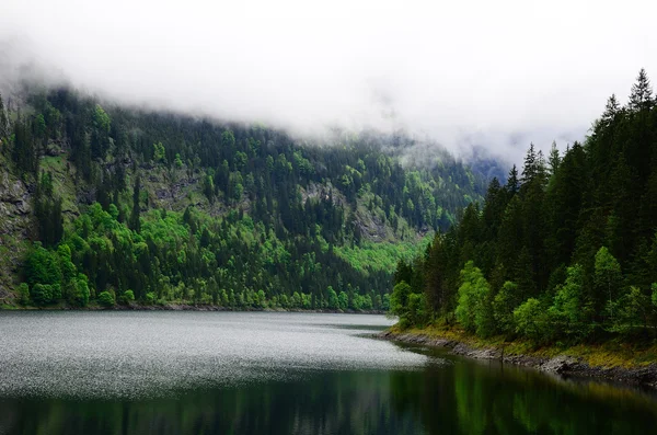 Lago de montaña con bosque — Foto de Stock