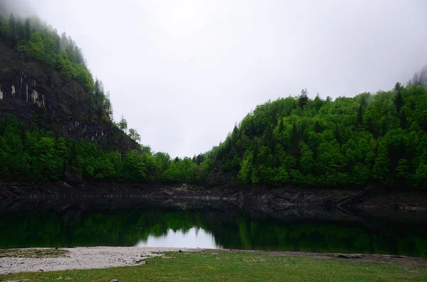 Gosausee e floresta — Fotografia de Stock