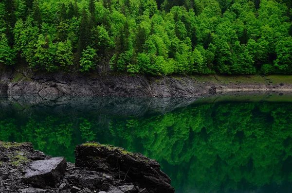 Lago con reflejo de bosque — Foto de Stock