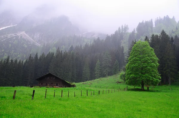 Paesaggio montano sotto la pioggia — Foto Stock