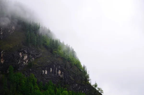 Encosta da montanha no nevoeiro — Fotografia de Stock
