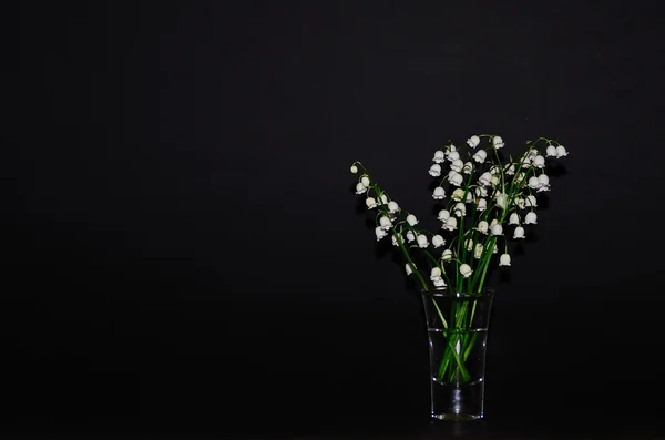 Lily of the valley in glass and black — Stock Photo, Image