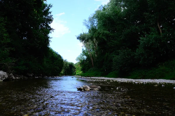溪中的绿色自然 — 图库照片