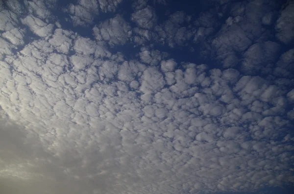 Wielu małych chmur na niebie — Zdjęcie stockowe